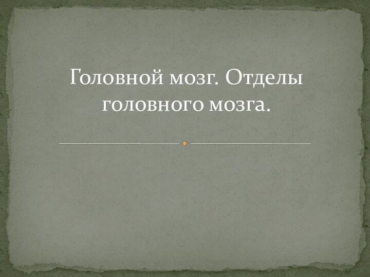 Головной мозг. Отделы головного мозга.