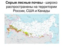 Серые лесные почвы - широко распространены на территорииРоссии, США и Канады