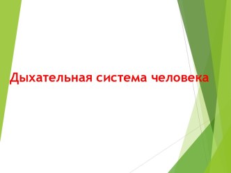 Дыхательная система человека