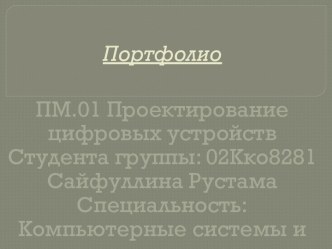 Портфолио