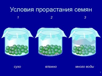 Условия прорастания семян