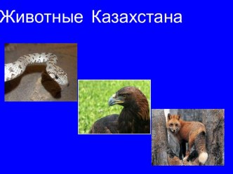 Животные Казахстана