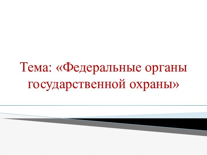 Тема: «Федеральные органы государственной охраны»