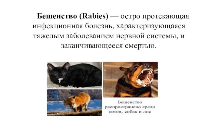 Бешенство (Rabies) — остро протекающая инфекционная болезнь, характеризующаяся тяжелым заболеванием нервной системы, и заканчивающееся смертью.