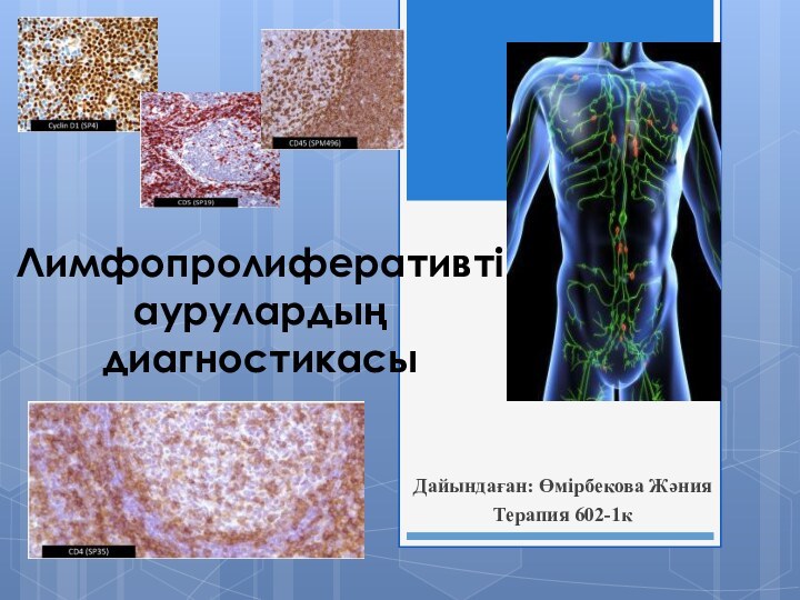 Дайындаған: Өмірбекова ЖәнияТерапия 602-1кЛимфопролиферативті аурулардың диагностикасы