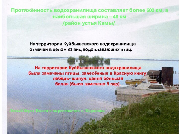 Протяжённость водохранилища составляет более 600 км, а наибольшая ширина – 48 км