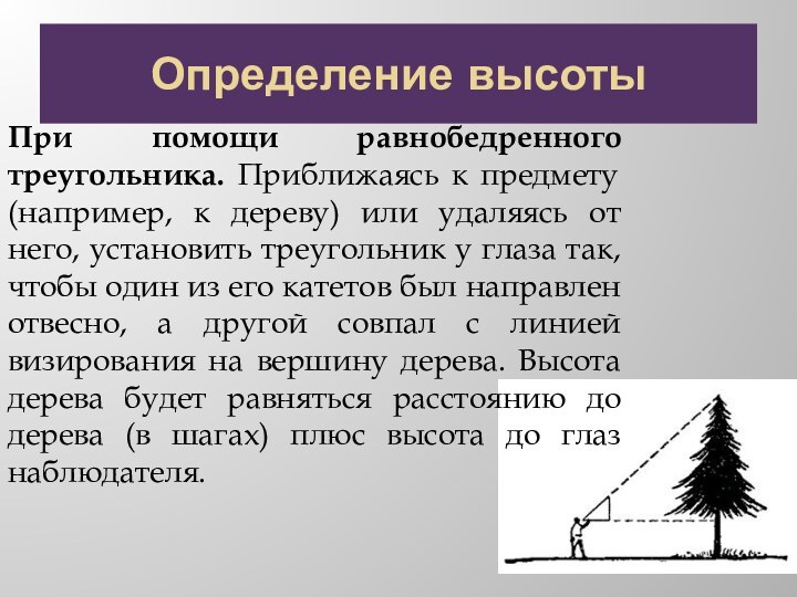 Определение высотыПри помощи равнобедренного треугольника. Приближаясь к предмету (например, к дереву) или