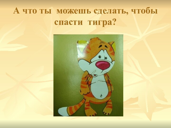 А что ты можешь сделать, чтобы спасти тигра?