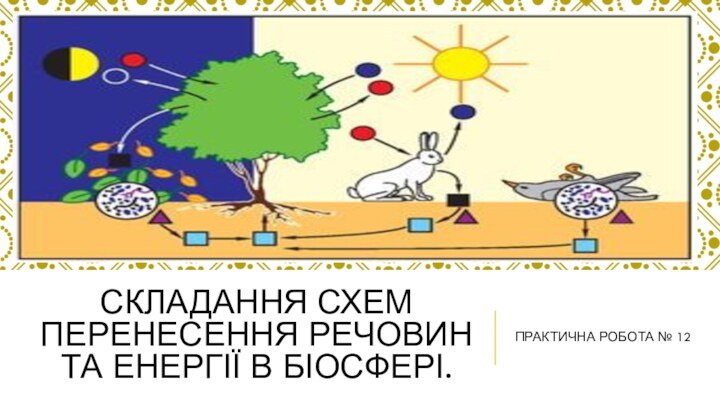 Складання схем перенесення речовин та енергії в біосфері.ПРАКТИЧНА РОБОТА № 12