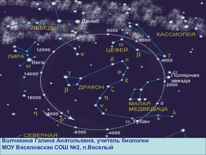 Волчихина Галина Анатольевна, учитель биологии МОУ Веселовская СОШ №2, п.Веселый