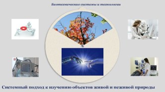 Лекция 1. Введение. Системный подход к изучению объектов живой и неживой природы