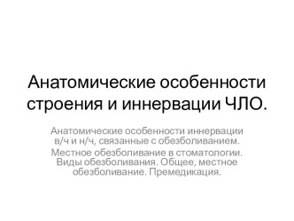 Анатомические особенности строения и иннервации ЧЛО.