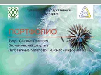Портфолио