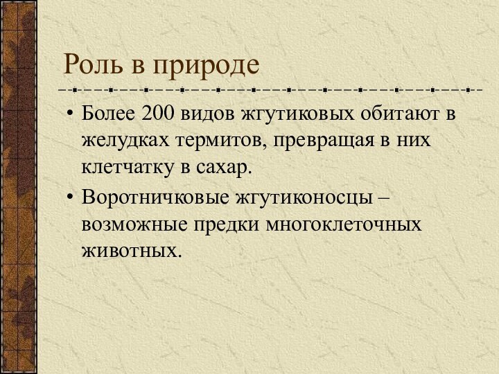 Роль в природеБолее 200 видов жгутиковых обитают в желудках термитов, превращая в