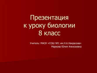 Строение и функции кожи