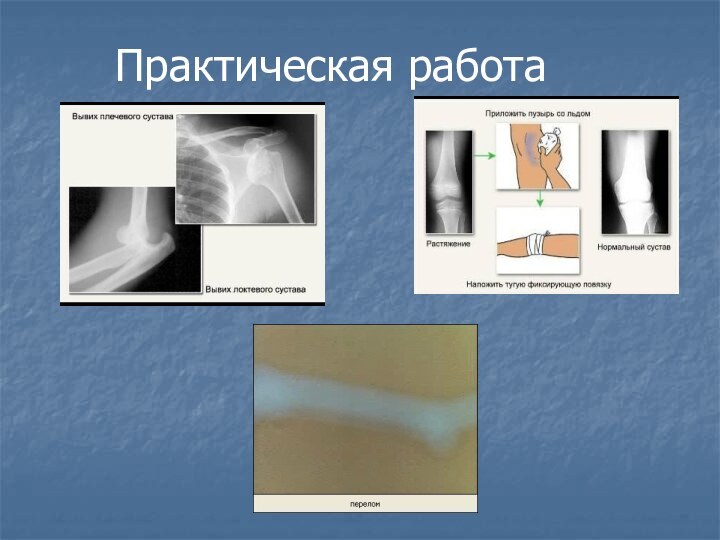 Практическая работа