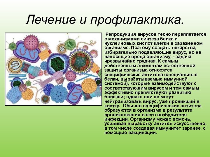 Лечение и профилактика.    Репродукция вирусов тесно переплетается с механизмами