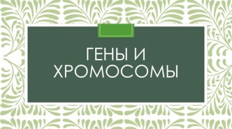 Гены и хромосомы