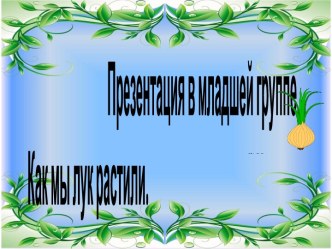 Как мы лук растили