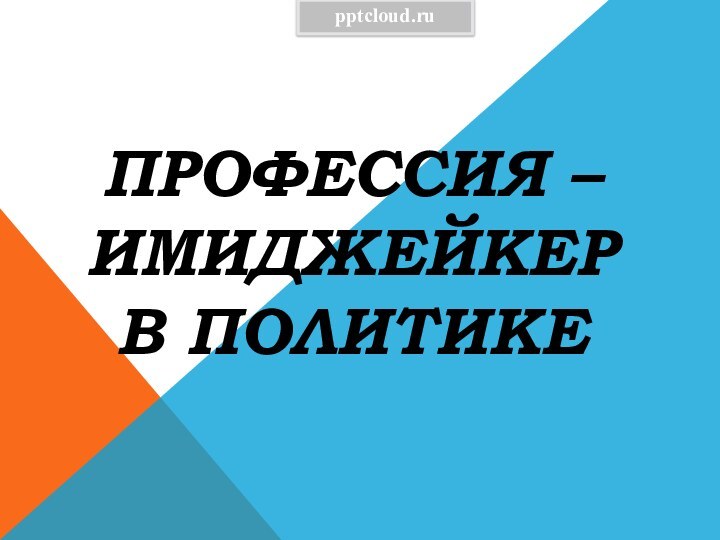 Профессия –Имиджейкер в политике