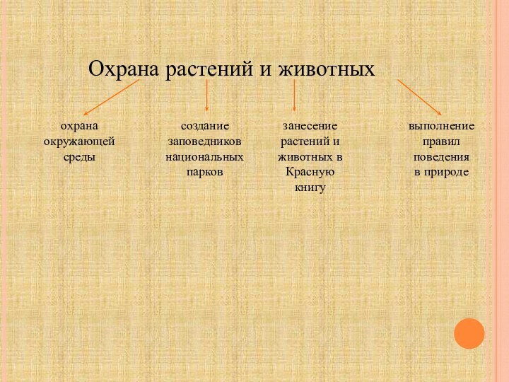 Охрана растений и животныхохрана окружающей средысозданиезаповедниковнациональных парков занесение растений и животных вКрасную книгувыполнениеправилповеденияв природе