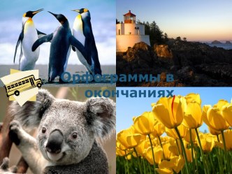 Орфограммы в   окончаниях