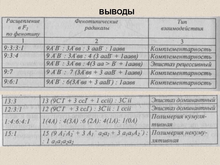 ВЫВОДЫ