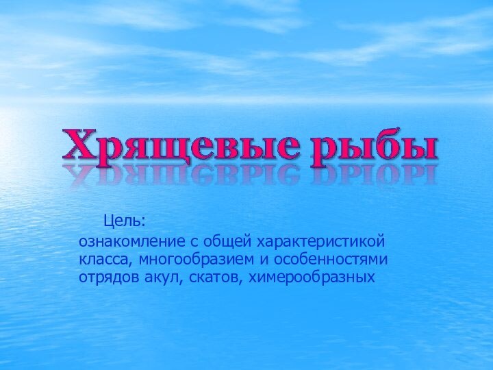 Цель: ознакомление с общей характеристикой класса, многообразием и особенностями отрядов акул, скатов, химерообразных