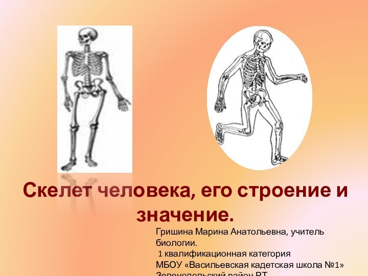 Скелет человека, его строение и значение.Гришина Марина Анатольевна, учитель биологии. 1 квалификационная