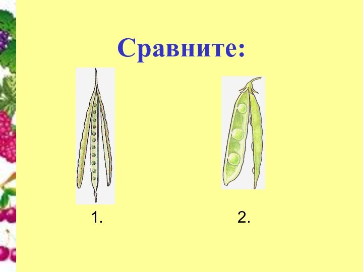 Сравните:  1.