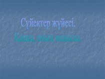 Костная система