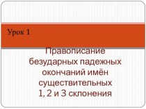 Правописание безударных падежных окончаний имён существительных