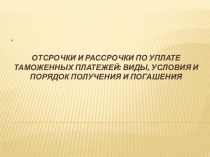 Отсрочки и рассрочки по уплате таможенных платежей: виды, условия и порядок получения и погашения