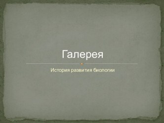 Галерея