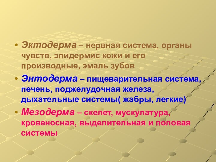 Эктодерма – нервная система, органы чувств, эпидермис кожи и его производные, эмаль