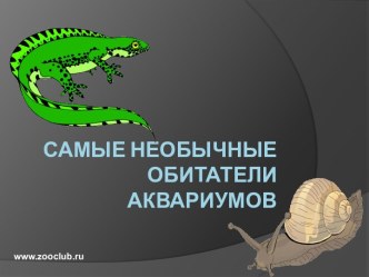 Самые необычные обитатели аквариумов