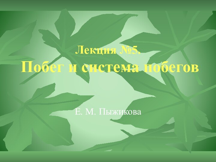 Лекция №5. Побег и система побеговЕ. М. Пыжикова