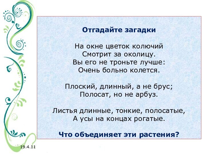 19.4.11 Отгадайте загадки   На окне цветок колючий Смотрит за околицу.