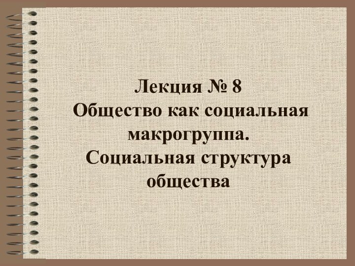 Лекция № 8   Общество как социальная макрогруппа.  Социальная структура общества