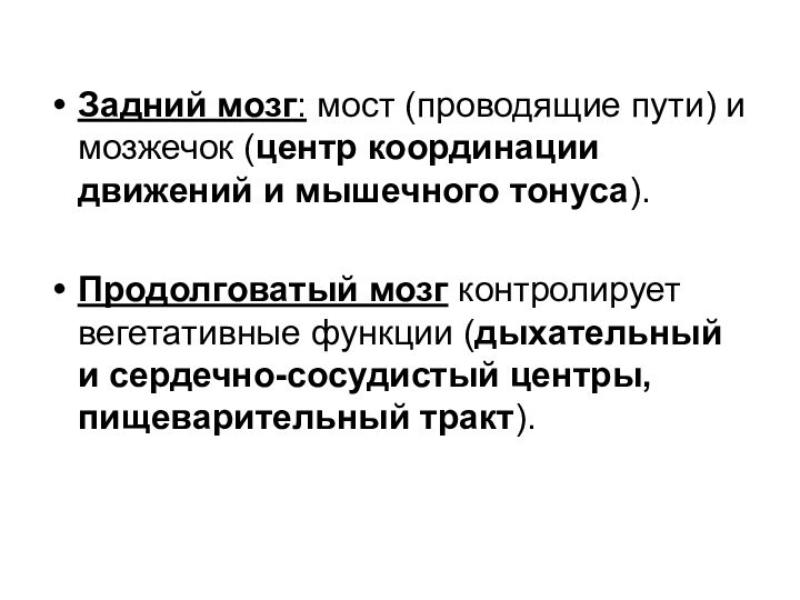 Задний мозг: мост (проводящие пути) и мозжечок (центр координации движений и мышечного