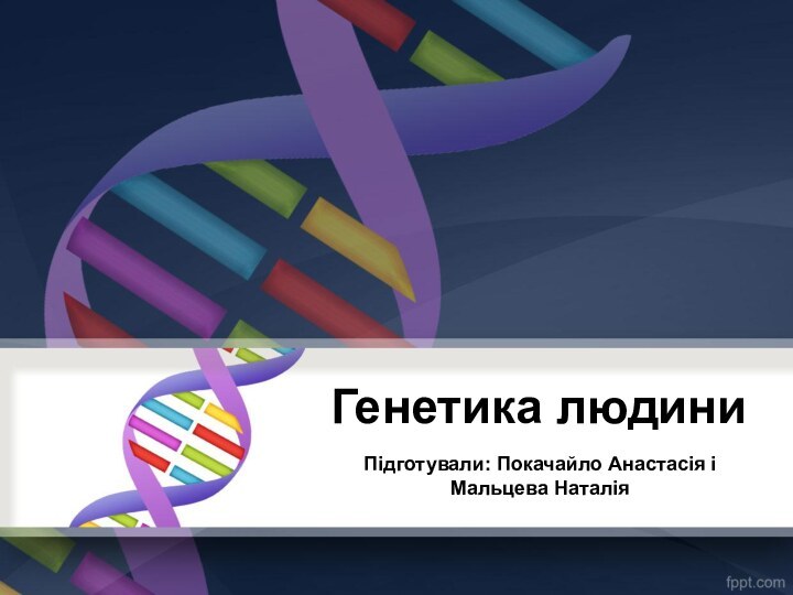 Генетика людиниПідготували: Покачайло Анастасія і Мальцева Наталія