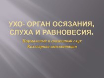 Ухо- орган осязания, слуха и равновесия.