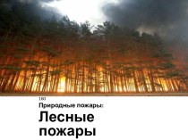 Выполнила: Барсукова Ирина группа 160Природные пожары: