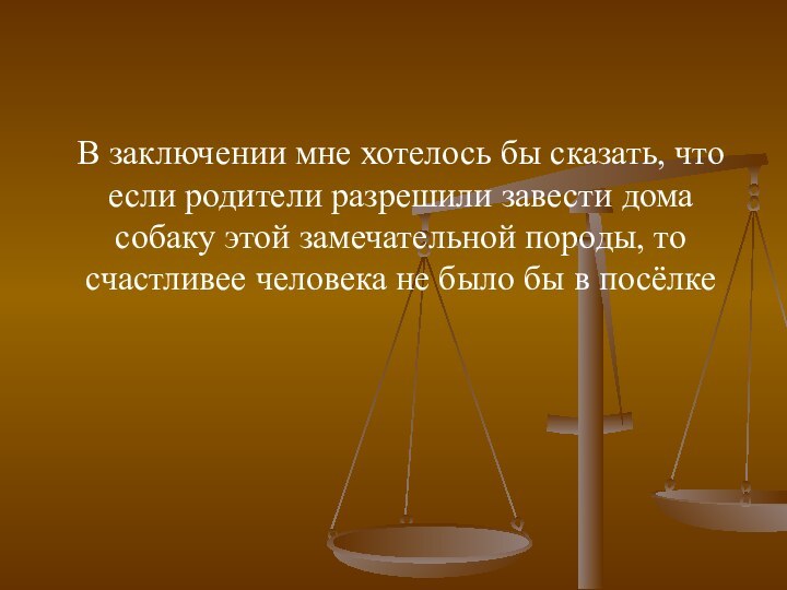 В заключении мне хотелось бы сказать, что если родители разрешили завести дома