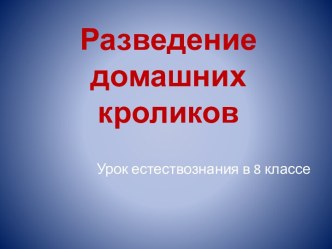 Разведение домашних кроликов