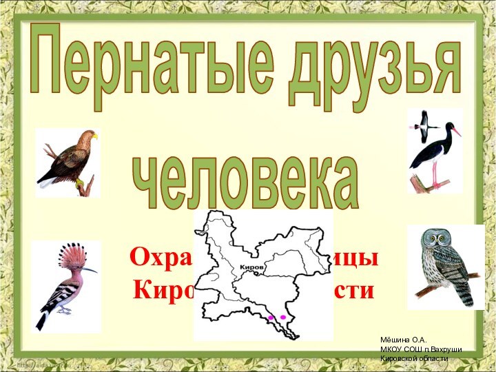 Пернатые друзьячеловекаОхраняемые птицы Кировской областиМёшина О.А.МКОУ СОШ п.ВахрушиКировской области