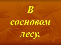 В сосновом лесу