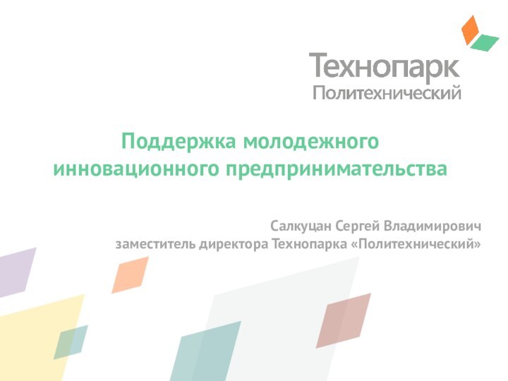 Поддержка молодежного инновационного предпринимательства  Салкуцан Сергей Владимировичзаместитель директора Технопарка «Политехнический»