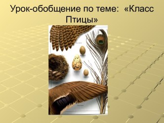 Класс Птицы