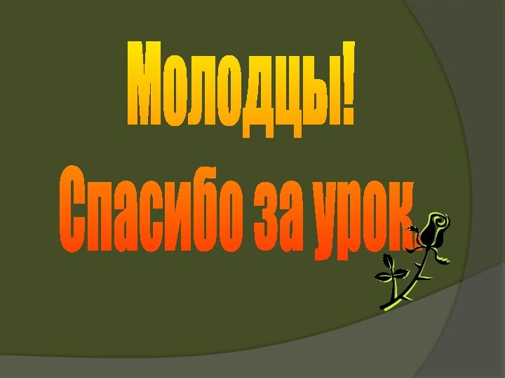 Молодцы!Спасибо за урок.